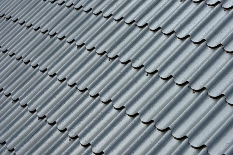 Metal Roofing