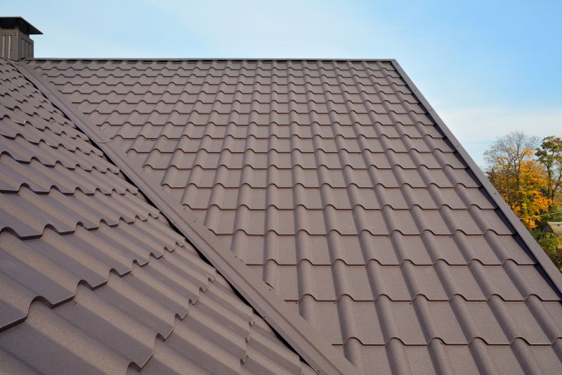Multiple Metal Roof Styles