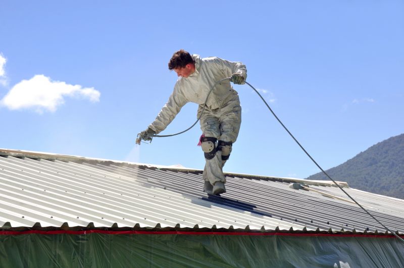 Metal Roof Coating Professionals